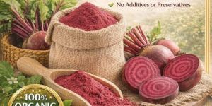 Organic Beet Root Powder