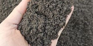 Vermi Compost