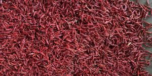Dry Red Chilli