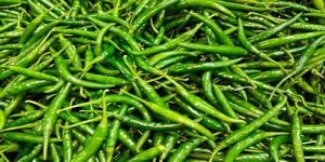 G4 Fresh Green Chilli