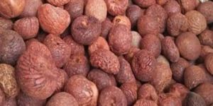 Bette Betel Nut