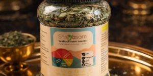 Sea Buckthorn Leaves