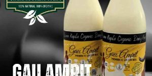 A2 Gir Cow Milk