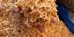 Dried Fish