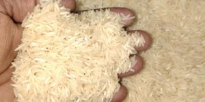 Basmati Rice