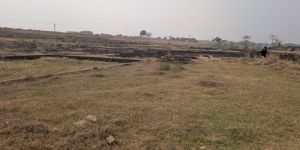 Residential Plots