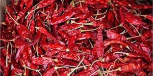 Dry Red Chilli