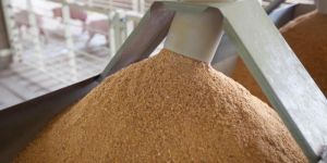 Soya Meals