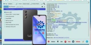 Software Tool Services