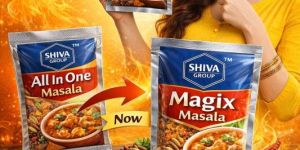 magix masala powder
