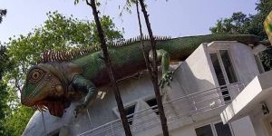 Fiber Resin Lizard Sculpture