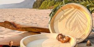 10 Inch Round Areca Leaf Disposable Plate