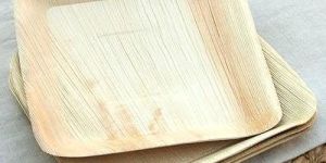 10 Inch Square Areca Leaf Plate