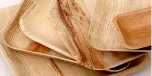 12 Inch Square Areca Leaf Plate