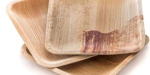 8 Inch Square Areca Leaf Disposable Plates