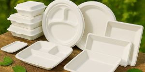 Bagasse Disposable Plate