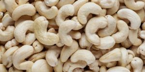 Cashew