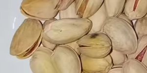 Pistachio
