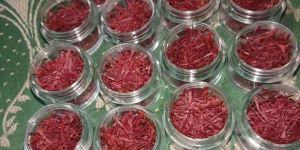 Saffron