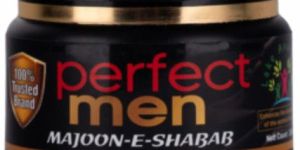 Perfect Men Majoon-e-Shabab