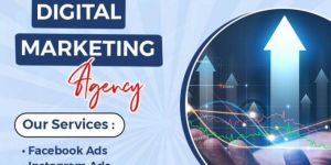 SEO Services Hanamkonda