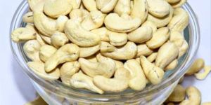 Cashew Nut Shell