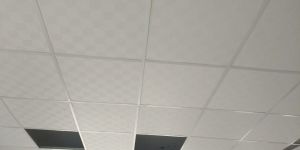 Grid Ceiling Work
