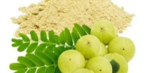 Amla Powder