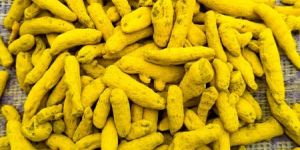 Turmeric Finger