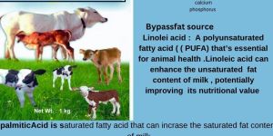 More Milk Rumen Bypass Fat