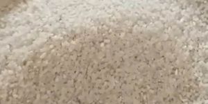 Broken Rice