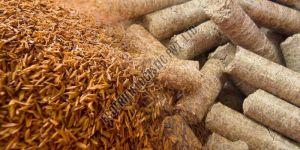 Rice Husk Biomass Pellets