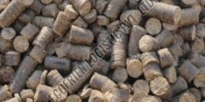 Sugarcane Biomass Briquettes