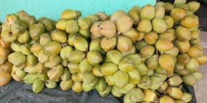 Fresh Tender Coconut