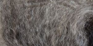 indian grey human hair