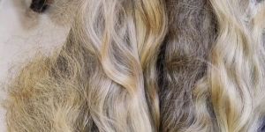 Virgin Indian Grey Human Hair
