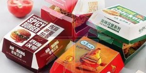 Burger Packaging Box