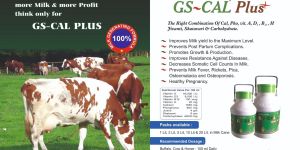 Gs-Cal Plus liquid