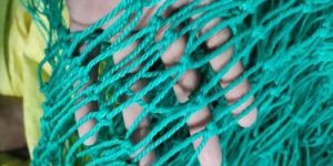 Sports Net