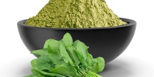 Spinach Leaves Powder
