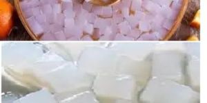 Nata De Coco