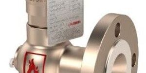 9 Series Pressure Safety Valve