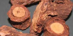 Anantmool Root
