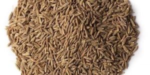 Brown Cumin Seed