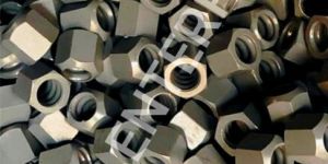 Hex Nut