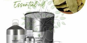 Bay Laurel Essential Oil