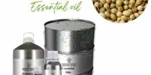 Coriander Seed Essential Oil