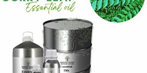 Curry Leaf Essential Oil