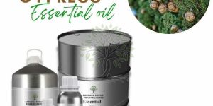 Cypress Essential Oil
