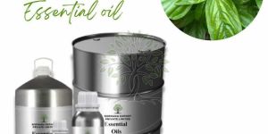 Dill Weed Essential Oil